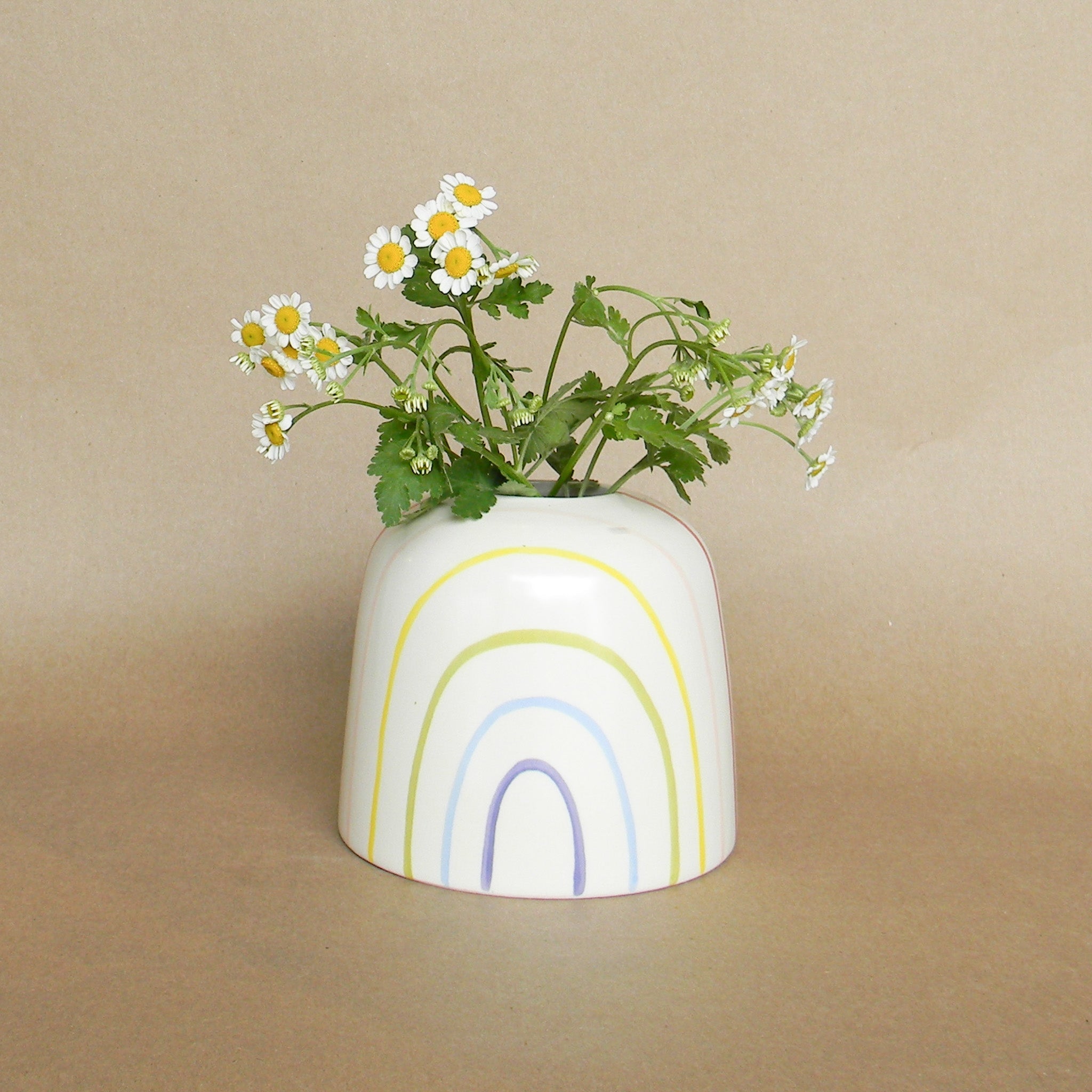 follow the rainbow budvase shop now at flower + furbishshipping