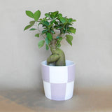 checkerboard pot shop now at flower + furbishGift, plant pot, Planter, Pot, shipping