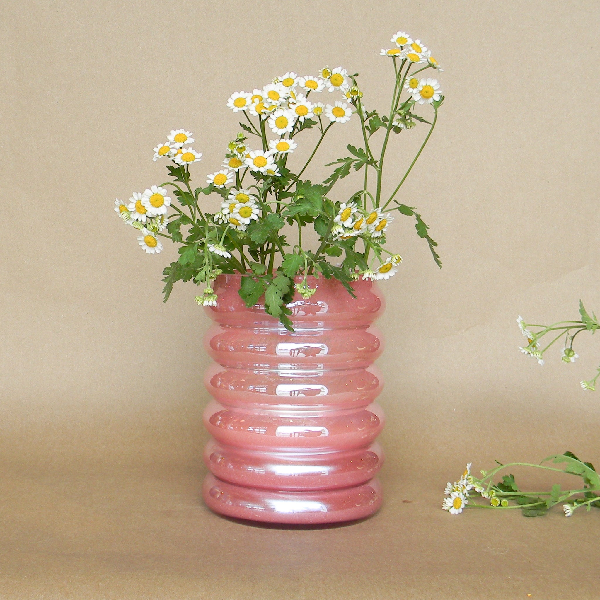 chrysalis vase shop now at flower + furbish