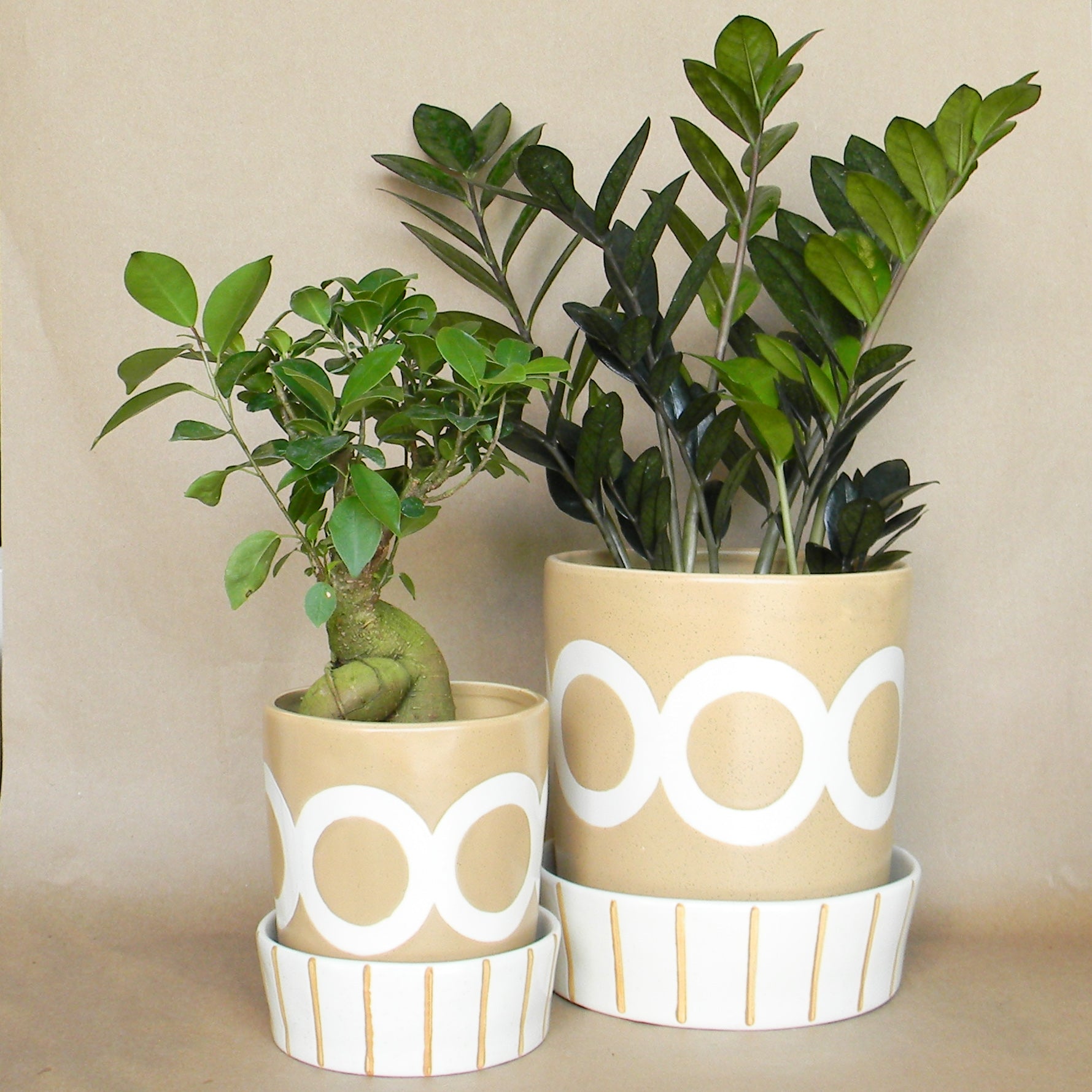 colburn pot with saucer shop now at flower + furbish