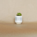 cyra pot shop now at flower + furbishbasket, plant pot, Planter, Pot, shipping