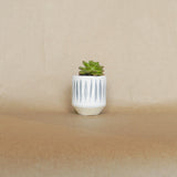 cyra pot shop now at flower + furbishbasket, plant pot, Planter, Pot, shipping