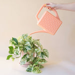 breeze block watering can shop now at flower + furbish