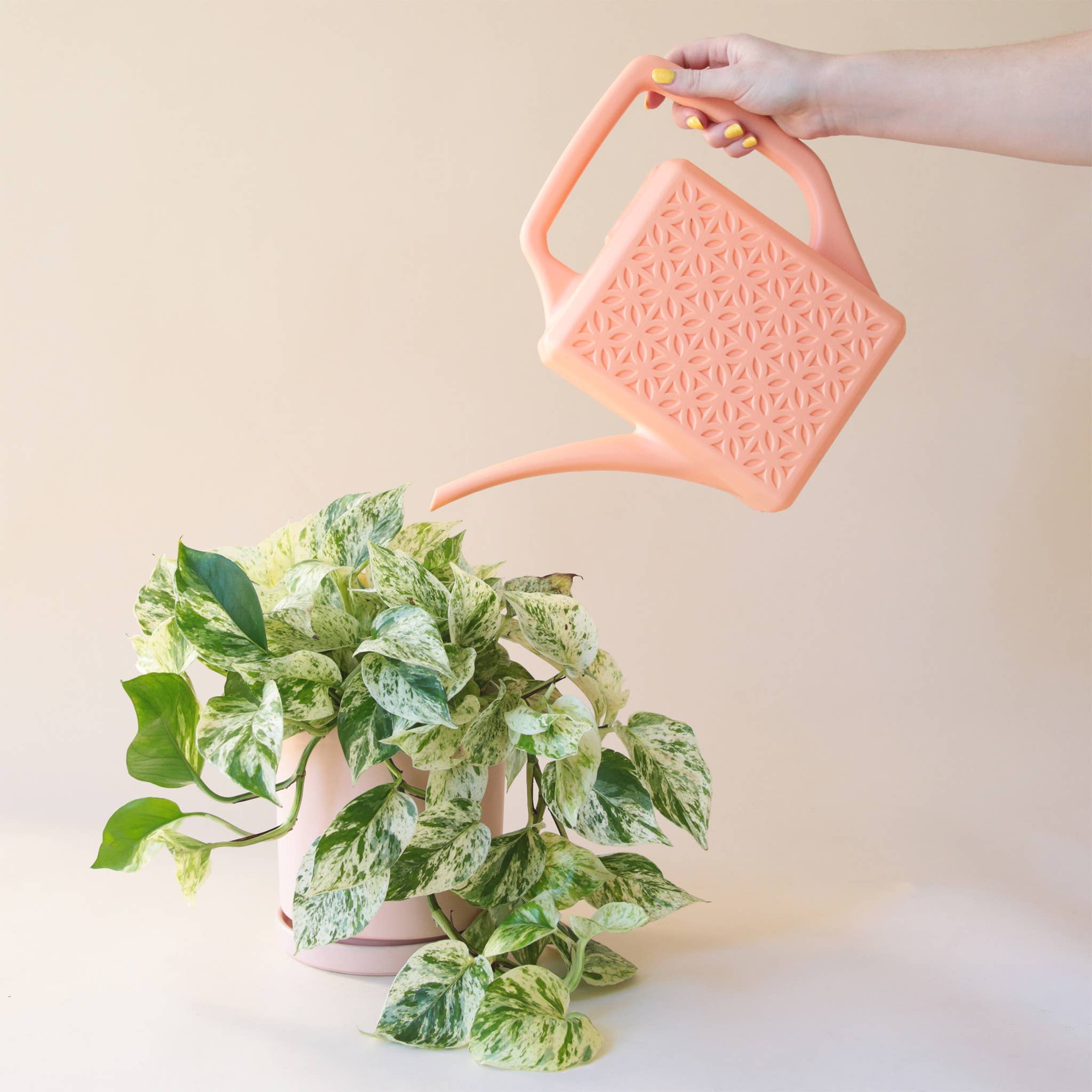 breeze block watering can shop now at flower + furbish