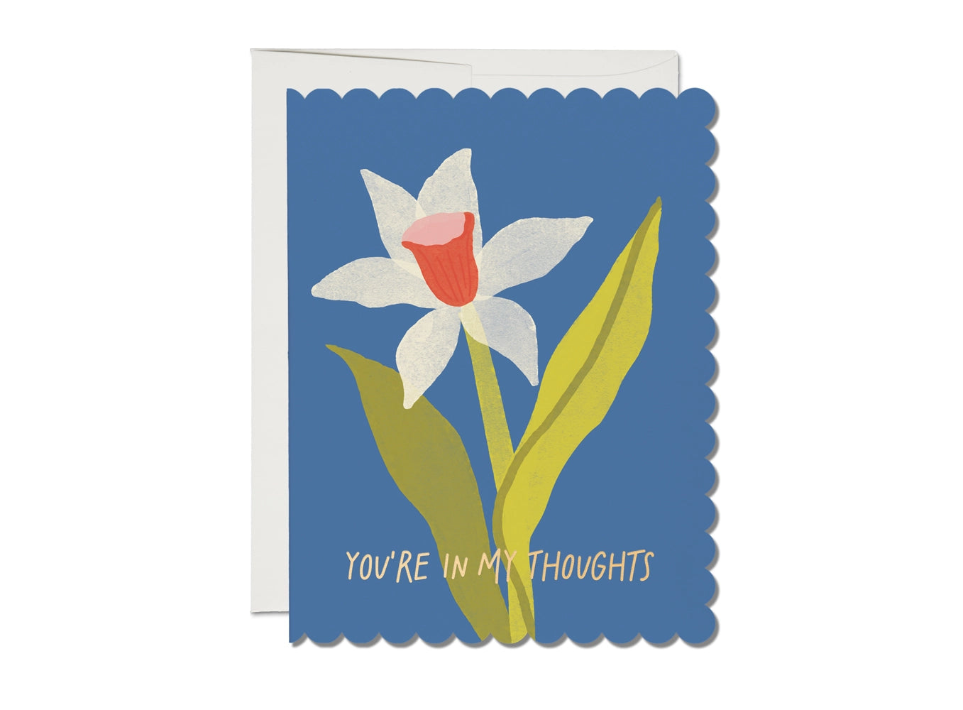 scalloped daffodil sympathy blank card shop now at flower + furbishblank card, card, celebration, shipping