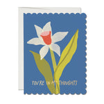 scalloped daffodil sympathy blank card shop now at flower + furbishblank card, card, celebration, shipping