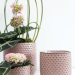everly pot pot from flower + furbish Shop now at flower + furbish