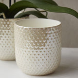 everly pot
