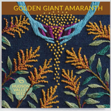 hudson valley golden giant amaranth seeds