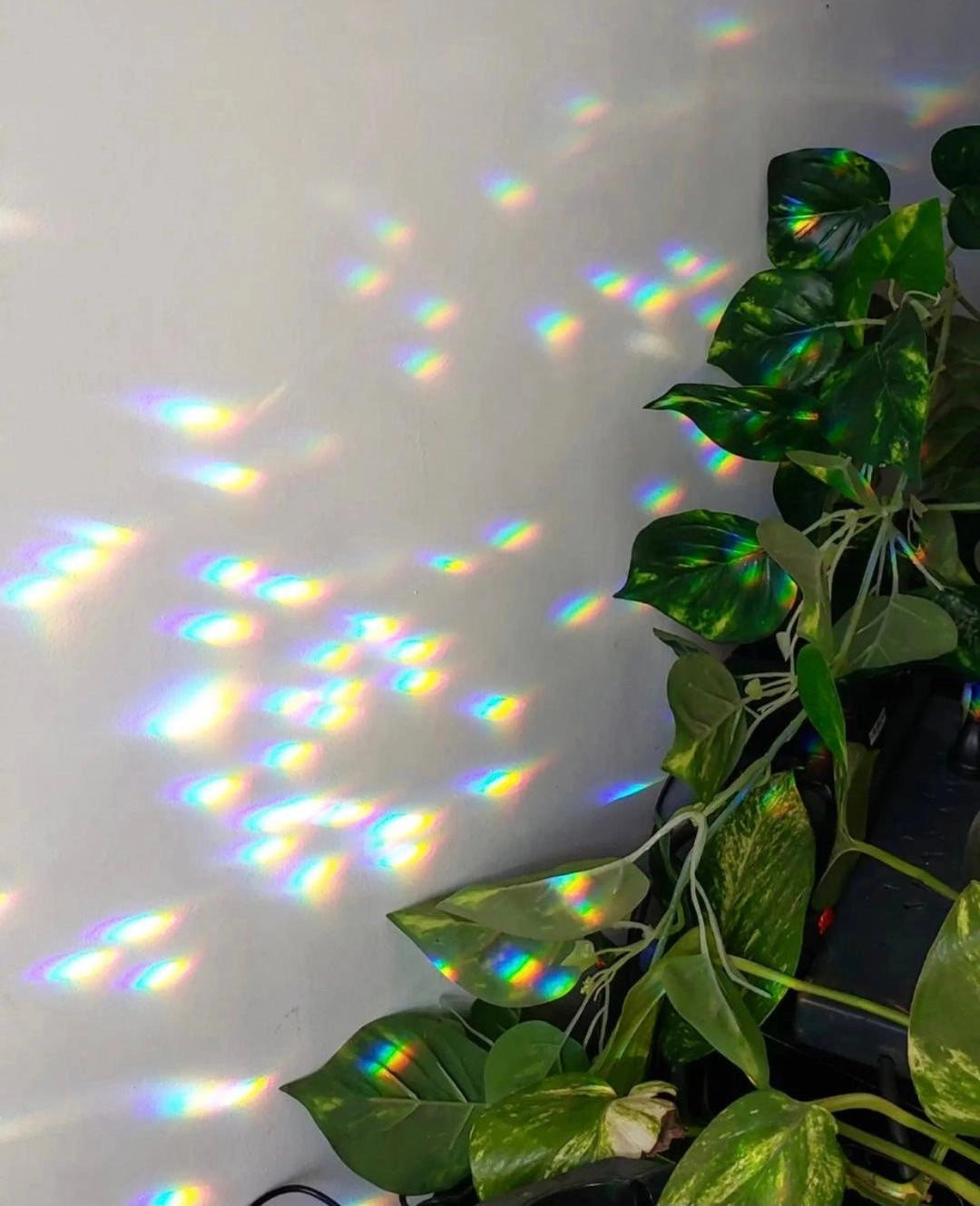 golden hour suncatcher shop now at flower + furbishanniversary, birthday, celebration, Chimes, Funeral, garden, Gift, shipping