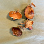 handmade mushroom ornaments Gift from flower + furbish Shop now at flower + furbish