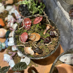 handmade mushroom ornaments Gift from flower + furbish Shop now at flower + furbish