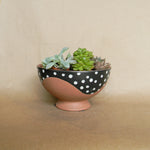 hansley compote shop now at flower + furbishcelebration, Gift, plant, plant pot, Planter, Pot, shipping, vase, vessel