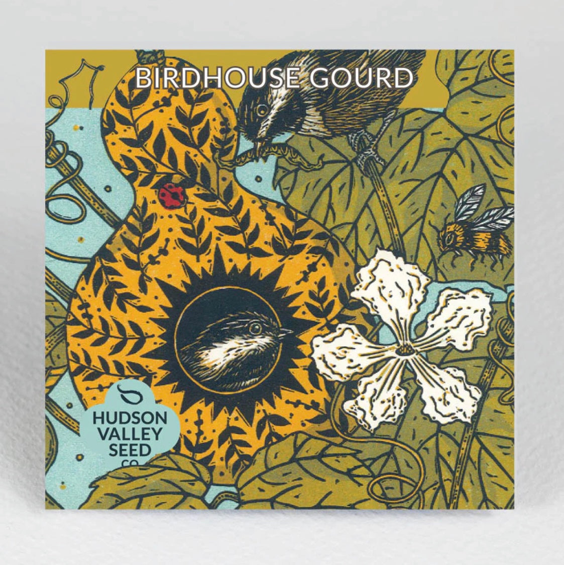 hudson valley birdhouse gourd seeds seed from flower + furbish Shop now at flower + furbish