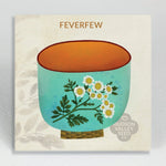 hudson valley feverfew seeds shop now at flower + furbishgarden, seed, shipping