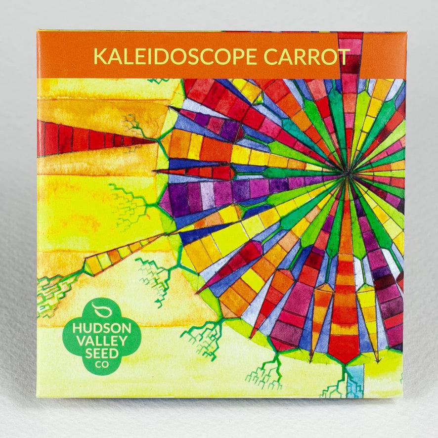 hudson valley kaleidoscope carrot seeds seed from flower + furbish Shop now at flower + furbish