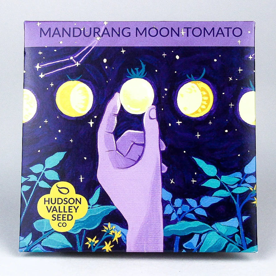hudson valley mandurang moon tomato seeds seed from flower + furbish Shop now at flower + furbish