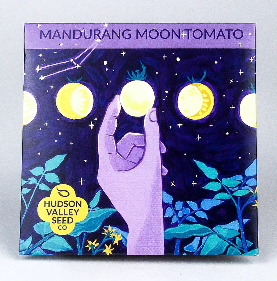 hudson valley mandurang moon tomato seeds seed from flower + furbish Shop now at flower + furbish
