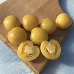 hudson valley mandurang moon tomato seeds seed from flower + furbish Shop now at flower + furbish