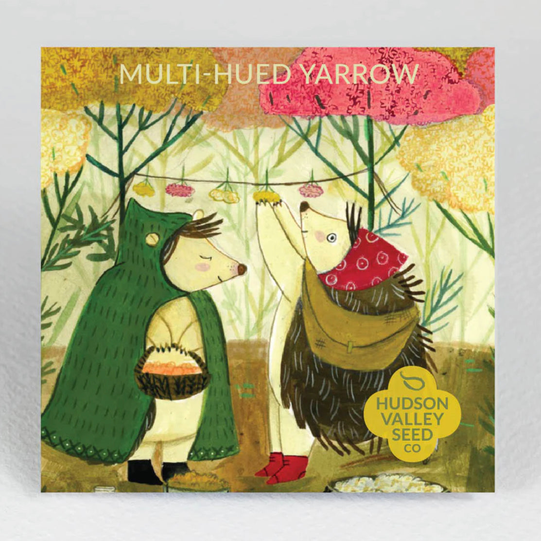 hudson valley multi-hued yarrow seeds seed from flower + furbish Shop now at flower + furbish