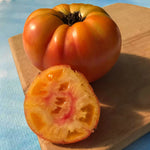 hudson valley pineapple tomato seeds seed from flower + furbish Shop now at flower + furbish
