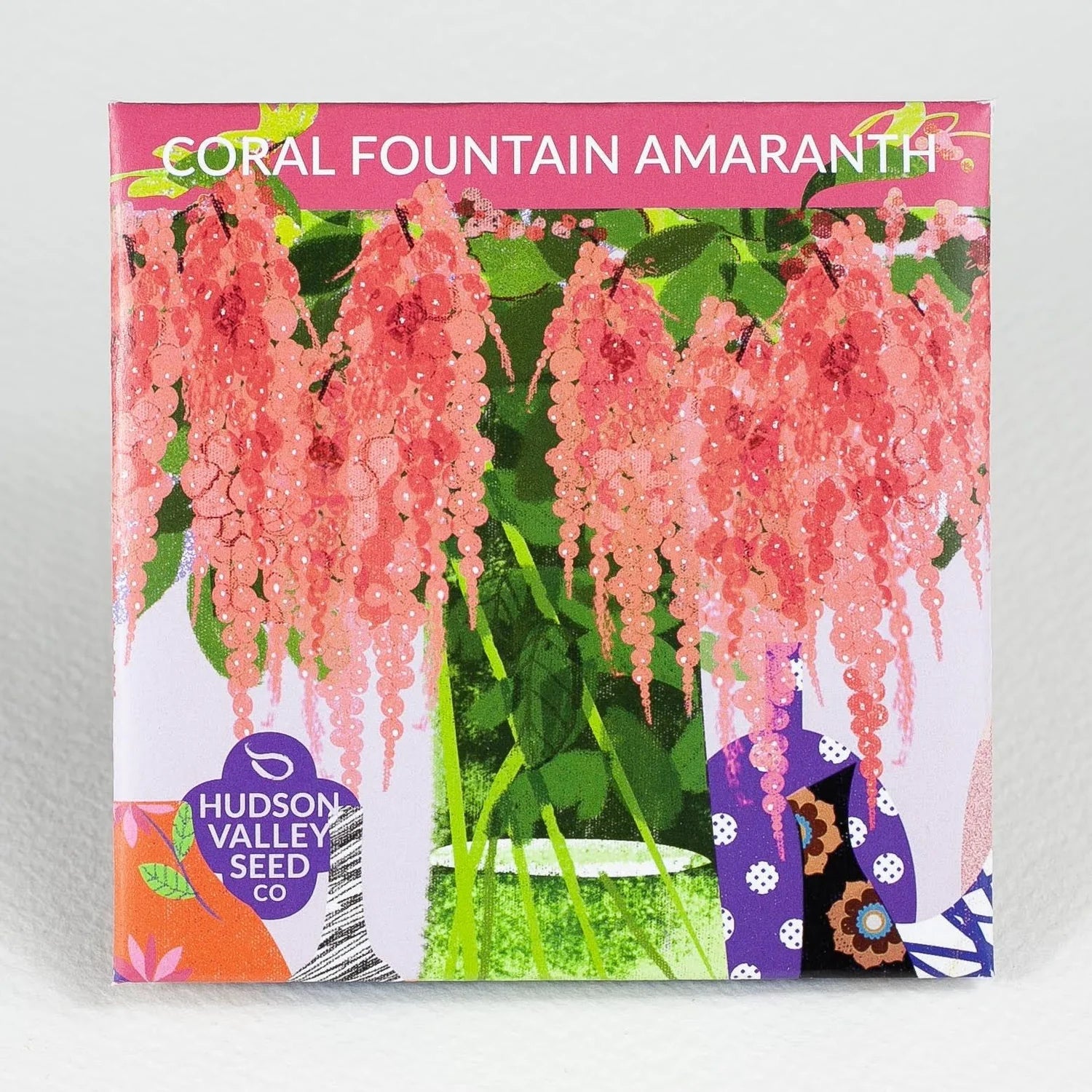 hudson valley coral fountain amaranth seeds shop now at flower + furbishgarden, seed, shipping