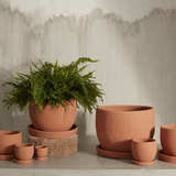 baden pot shop now at flower + furbishplant, plant pot, Pot, shipping, terra cotta
