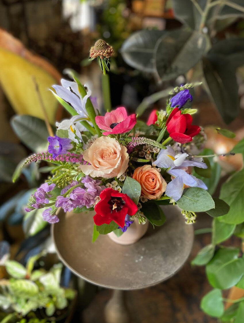 leonora shop now at flower + furbishanniversary, birthday, celebration, floral arrangement, Flowers, Get well, Gift, sympathy, thank you, vase, vased arrangement