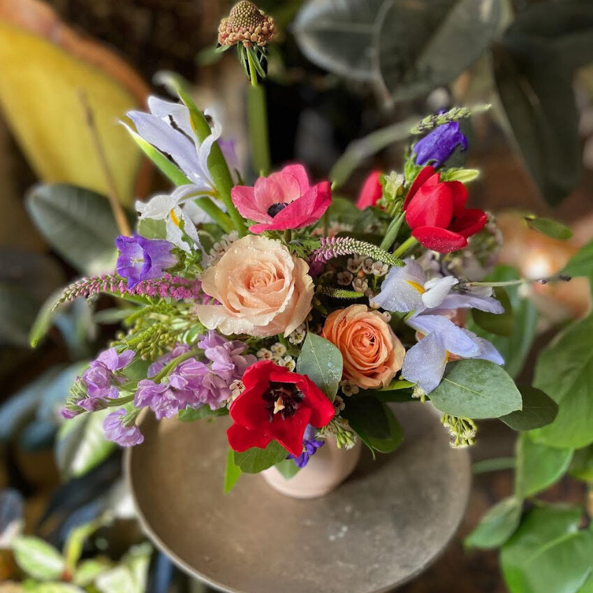 leonora shop now at flower + furbishanniversary, birthday, celebration, floral arrangement, Flowers, Get well, Gift, sympathy, thank you, vase, vased arrangement