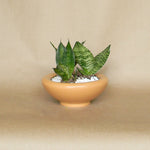 birdie bowl shop now at flower + furbish