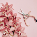 pruning shears