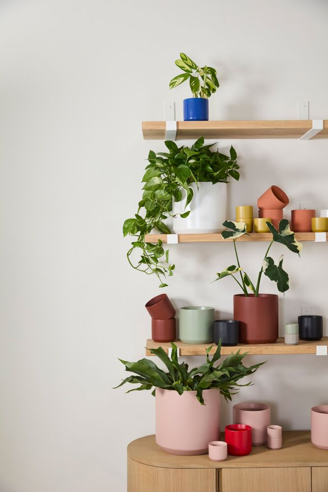 kendall pot shop now at flower + furbishplant pot, Planter, Pot, shipping, vessel