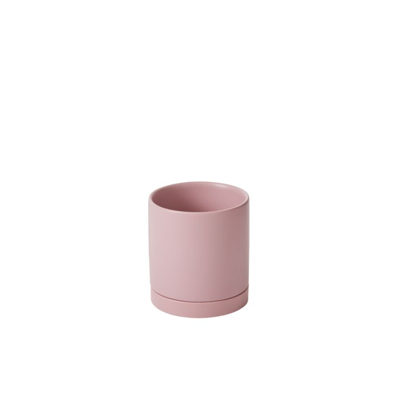 romey pot shop now at flower + furbishshipping