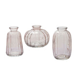 livi budvase