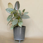 malcolm footed pot shop now at flower + furbish1 inch, 2 inch, 3 inch, 4 inch