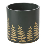 midwinter fern pot