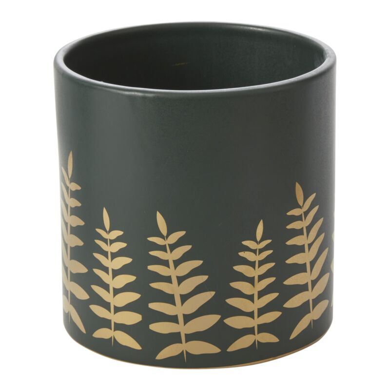 midwinter fern pot