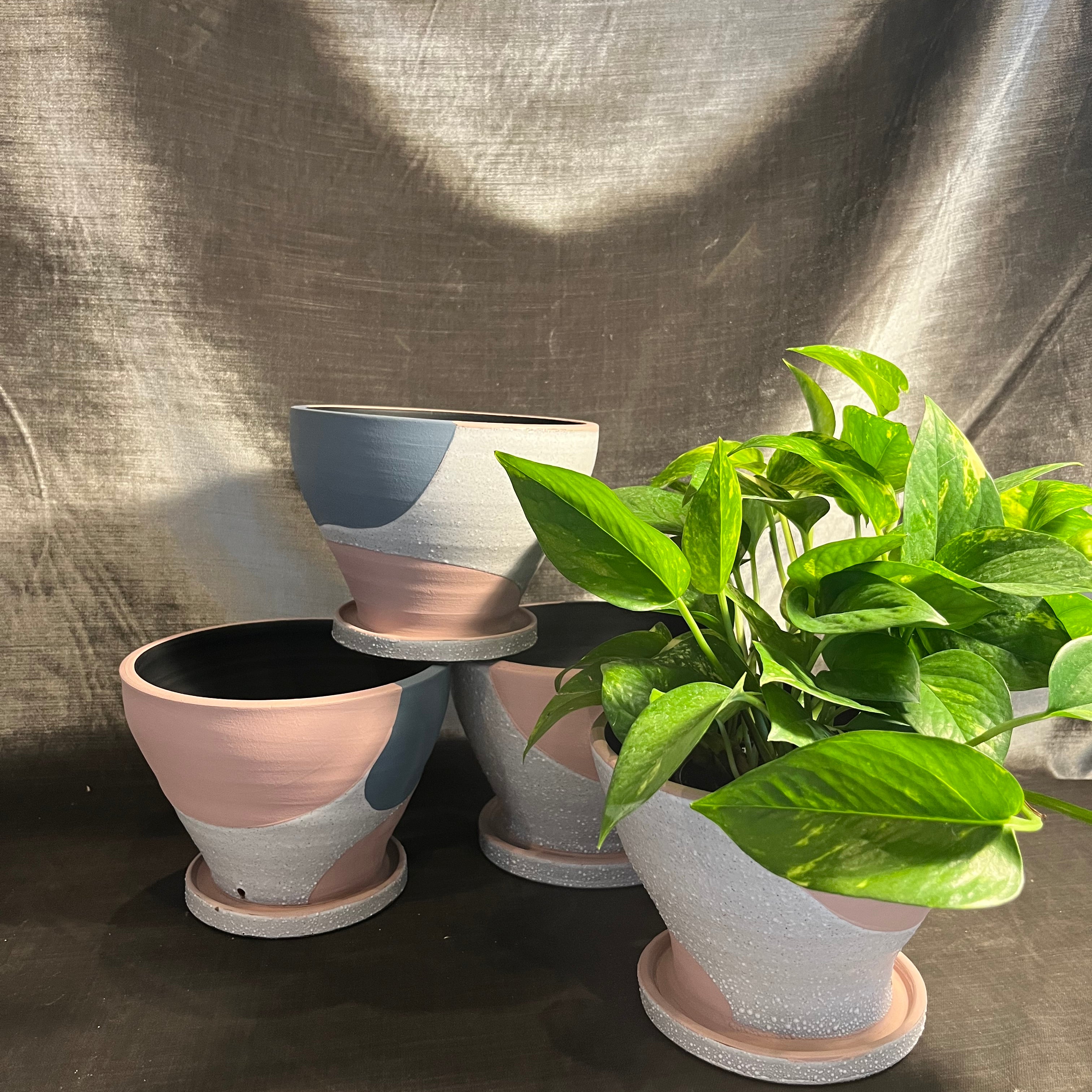 modera pot shop now at flower + furbishGift, plant pot, Planter, Pot, shipping, vessel