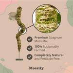 bendable mossify coir plant pole shop now at flower + furbish