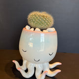 im in 2 u shop now at flower + furbishCactus, octopus, potted plant