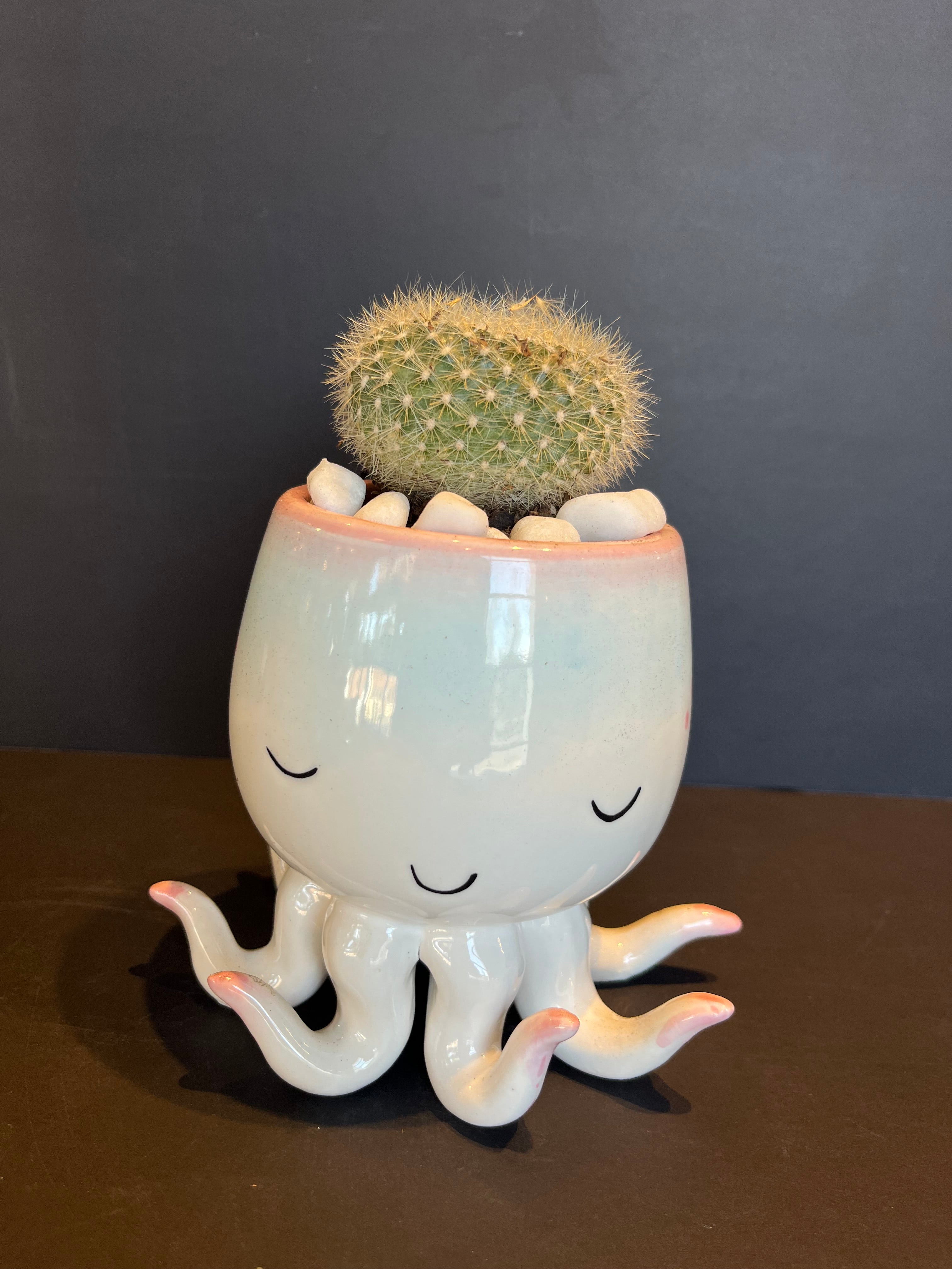 im in 2 u shop now at flower + furbishCactus, octopus, potted plant