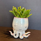im in 2 u shop now at flower + furbishCactus, octopus, potted plant