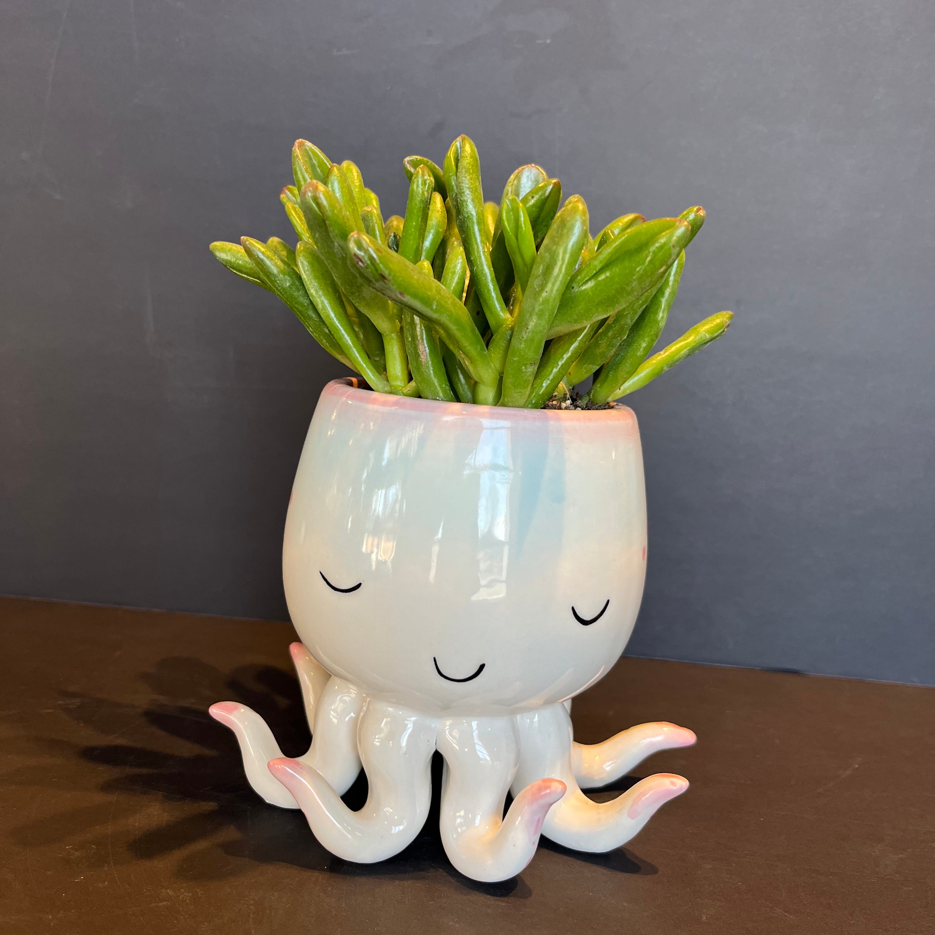 im in 2 u shop now at flower + furbishCactus, octopus, potted plant