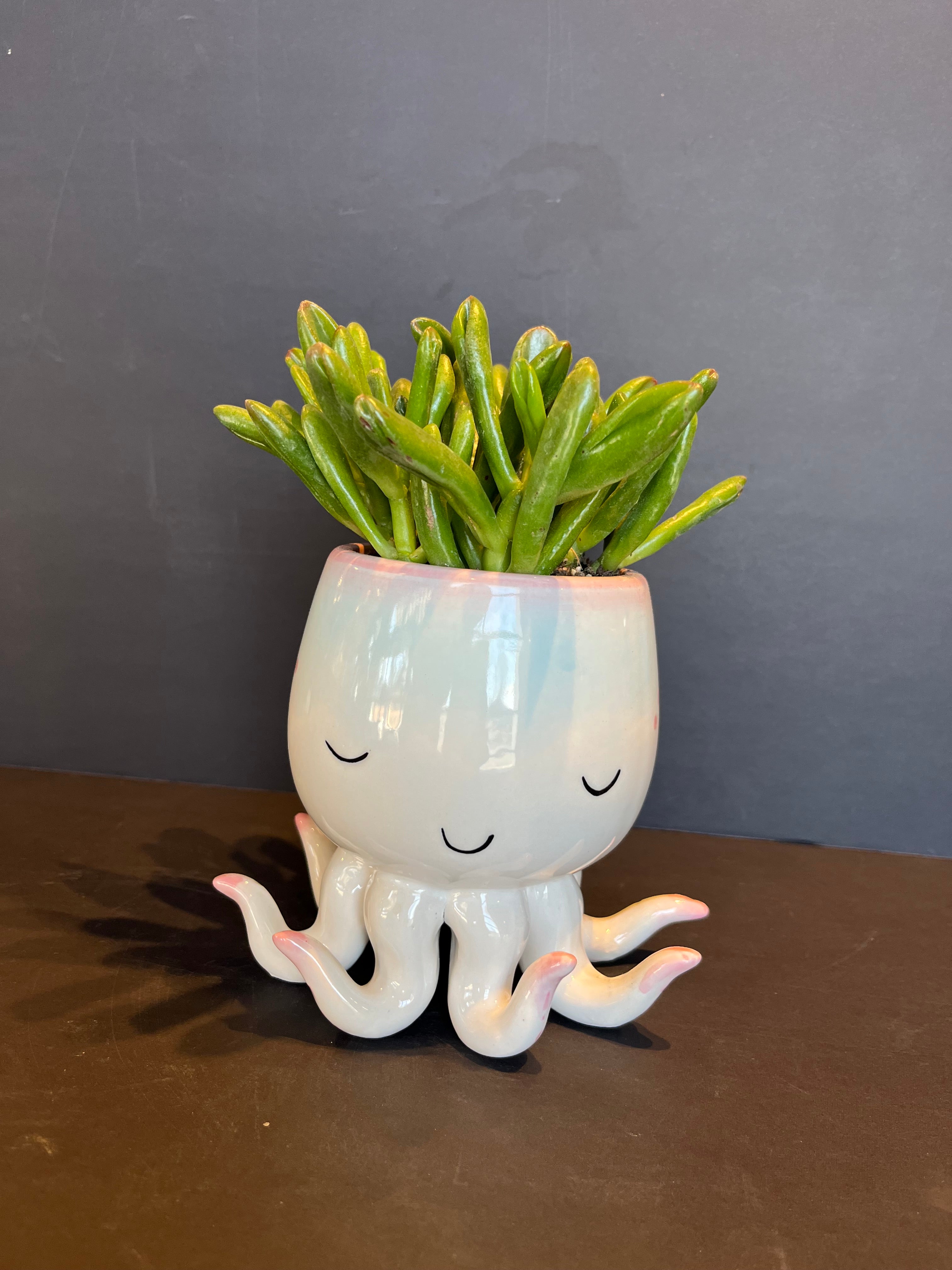 im in 2 u shop now at flower + furbishCactus, octopus, potted plant