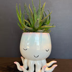 im in 2 u shop now at flower + furbishCactus, octopus, potted plant