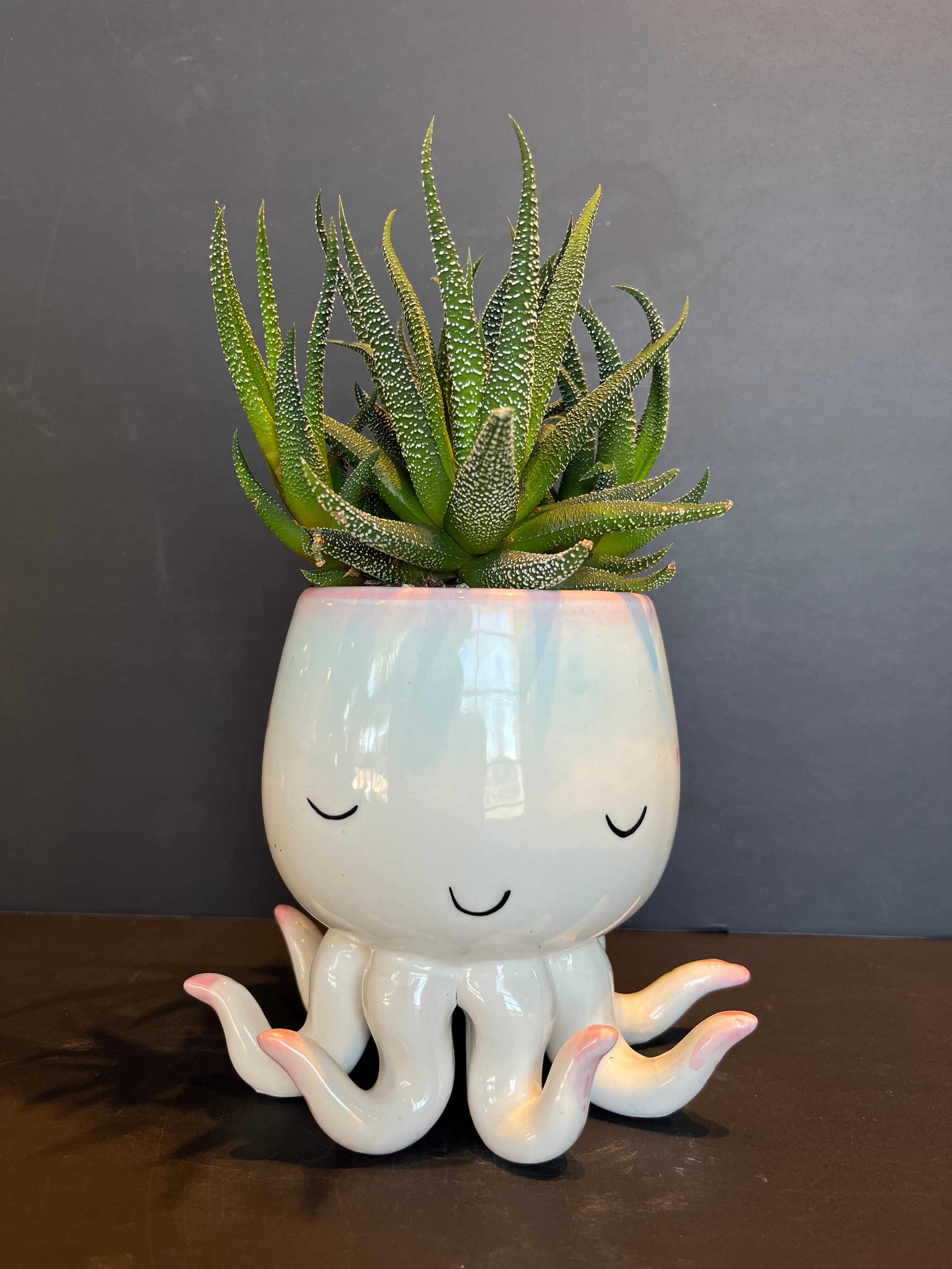 im in 2 u shop now at flower + furbishCactus, octopus, potted plant
