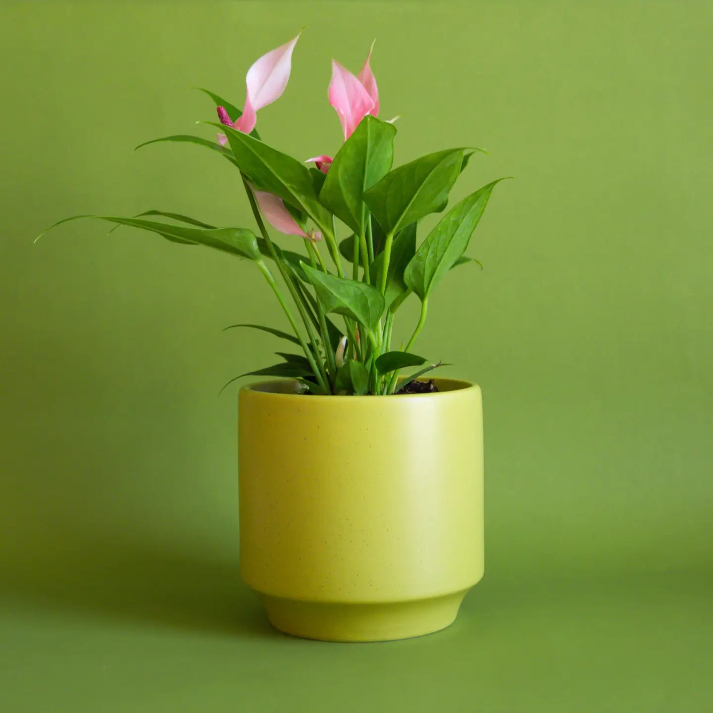 parker planter shop now at flower + furbish