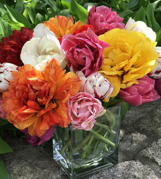 peony flowering tulip mixture shop now at flower + furbishBulbs, garden, shipping
