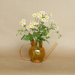pequeno watering can shop now at flower + furbishGift, shipping, vase, vessel, Watering can