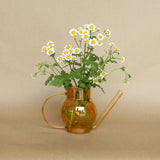 pequeno watering can shop now at flower + furbishGift, shipping, vase, vessel, Watering can